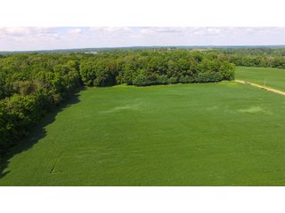 Property photo 8 - LAND AUCTION - 220+/- ACRES IN 7 TRACTS/3 FARMS IN LAGRANGE & STEUBEN COUNTIES, INDIANA